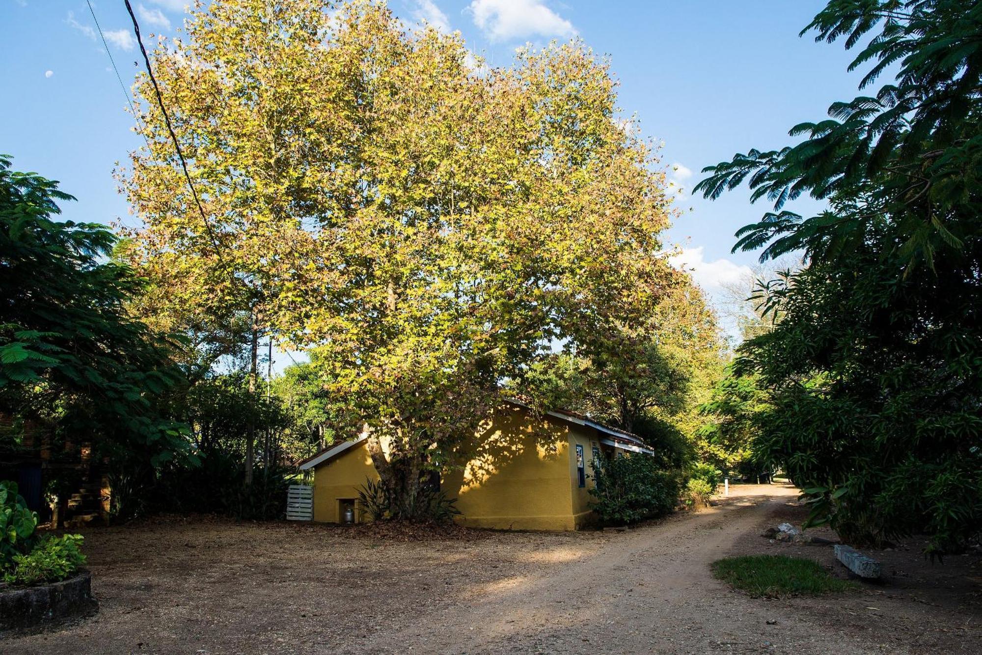 Fazenda Santa Thereza - Itapira Dış mekan fotoğraf