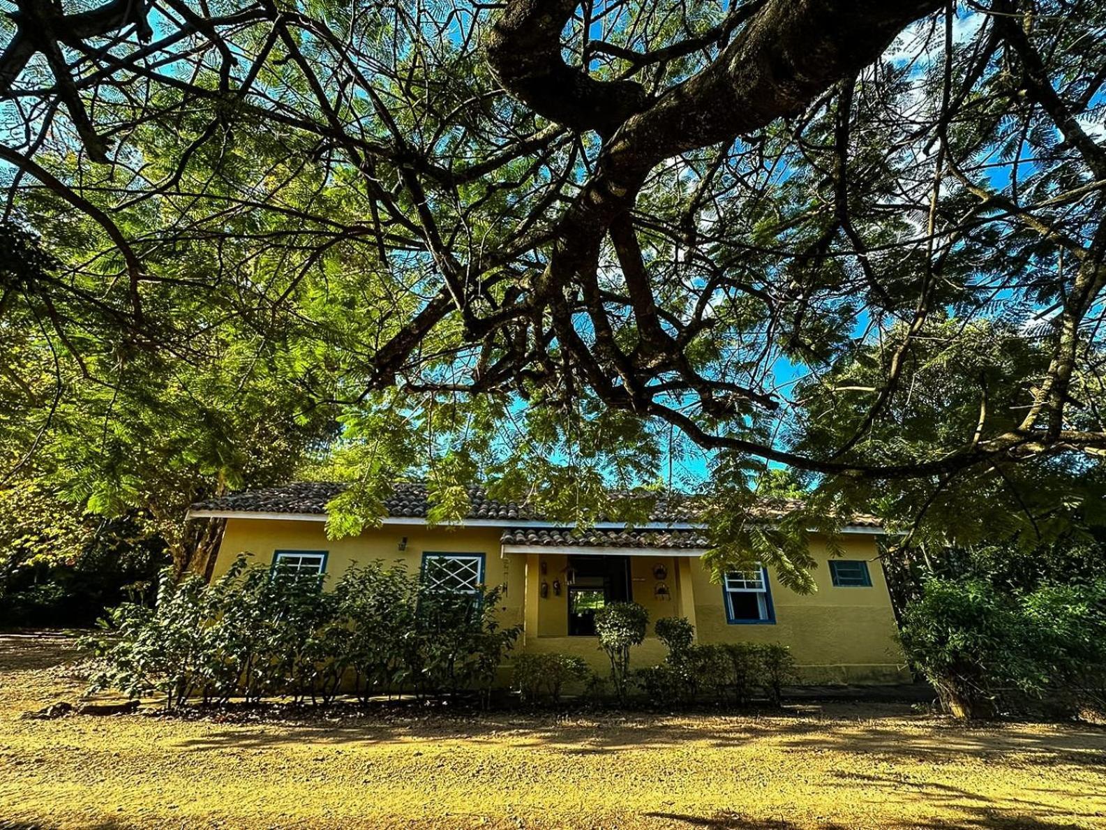 Fazenda Santa Thereza - Itapira Dış mekan fotoğraf