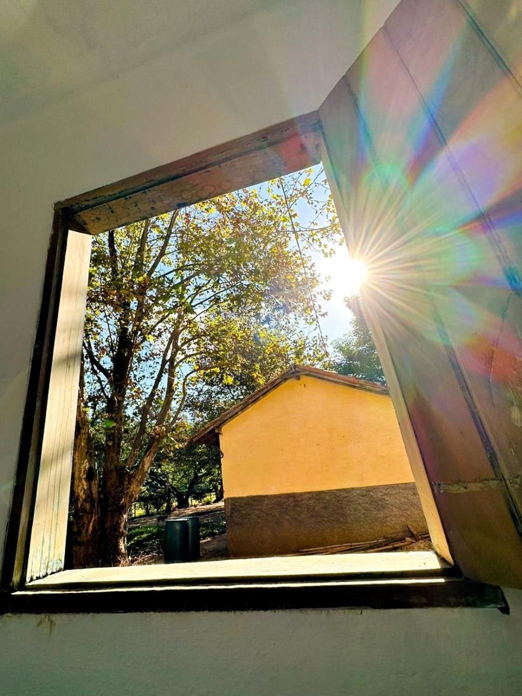 Fazenda Santa Thereza - Itapira Dış mekan fotoğraf