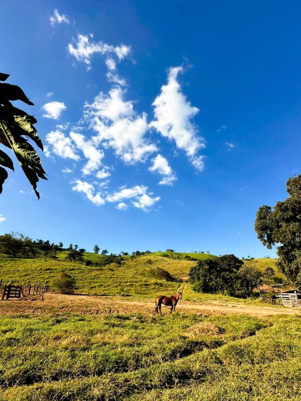 Fazenda Santa Thereza - Itapira Dış mekan fotoğraf